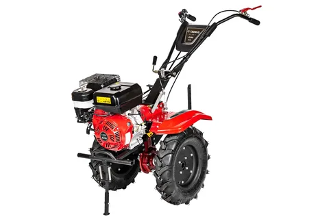 Mullafrees Cedrus CEDRUSGL06