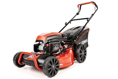 Muruniiduk Cedrus CEDKS48