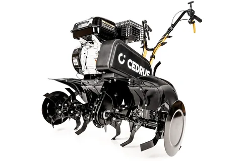 Mullafrees Cedrus CEDRUSGL01
