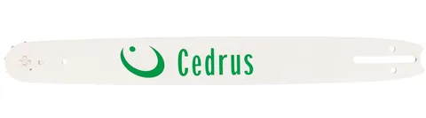 Cedrus kettsae juhtplaat