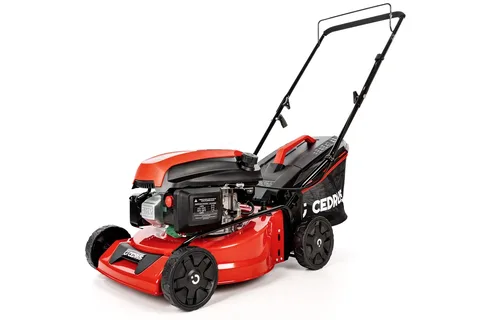 Muruniiduk Cedrus CEDKS42